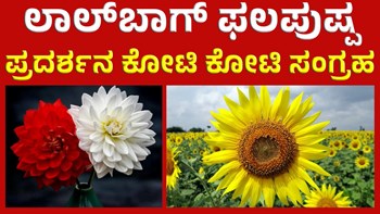 Lalbagh Flower Show  ಲಾಲ್‌ಬಾಗ್ ಫಲಪುಷ್ಪ ಪ್ರದರ್ಶನ ಇಷ್ಟು ಕೋಟಿ ರೂಪಾಯಿ ಆದಾಯ ಸಂಗ್ರಹ! 